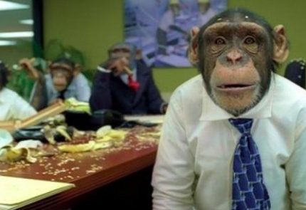 if you pay peanuts you get monkeys for your seo