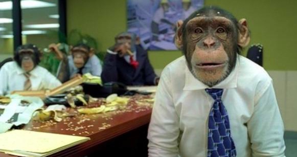 if you pay peanuts you get monkeys for your seo