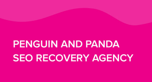 Penguin and Panda SEO Recovery Agency