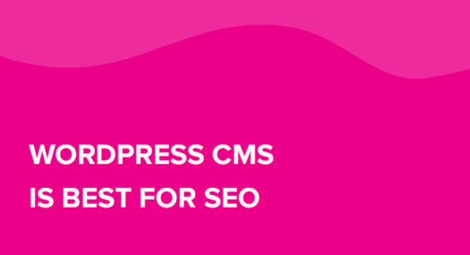 WordPress CMS is Best for SEO