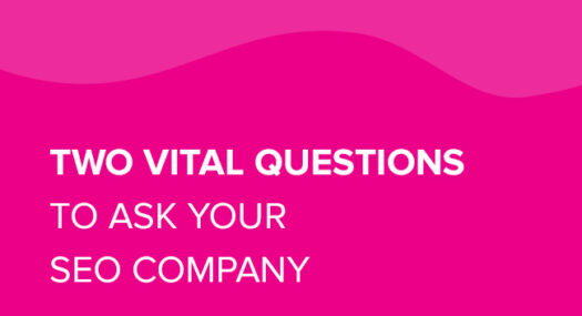 2 vital questions to ask your SEO Company