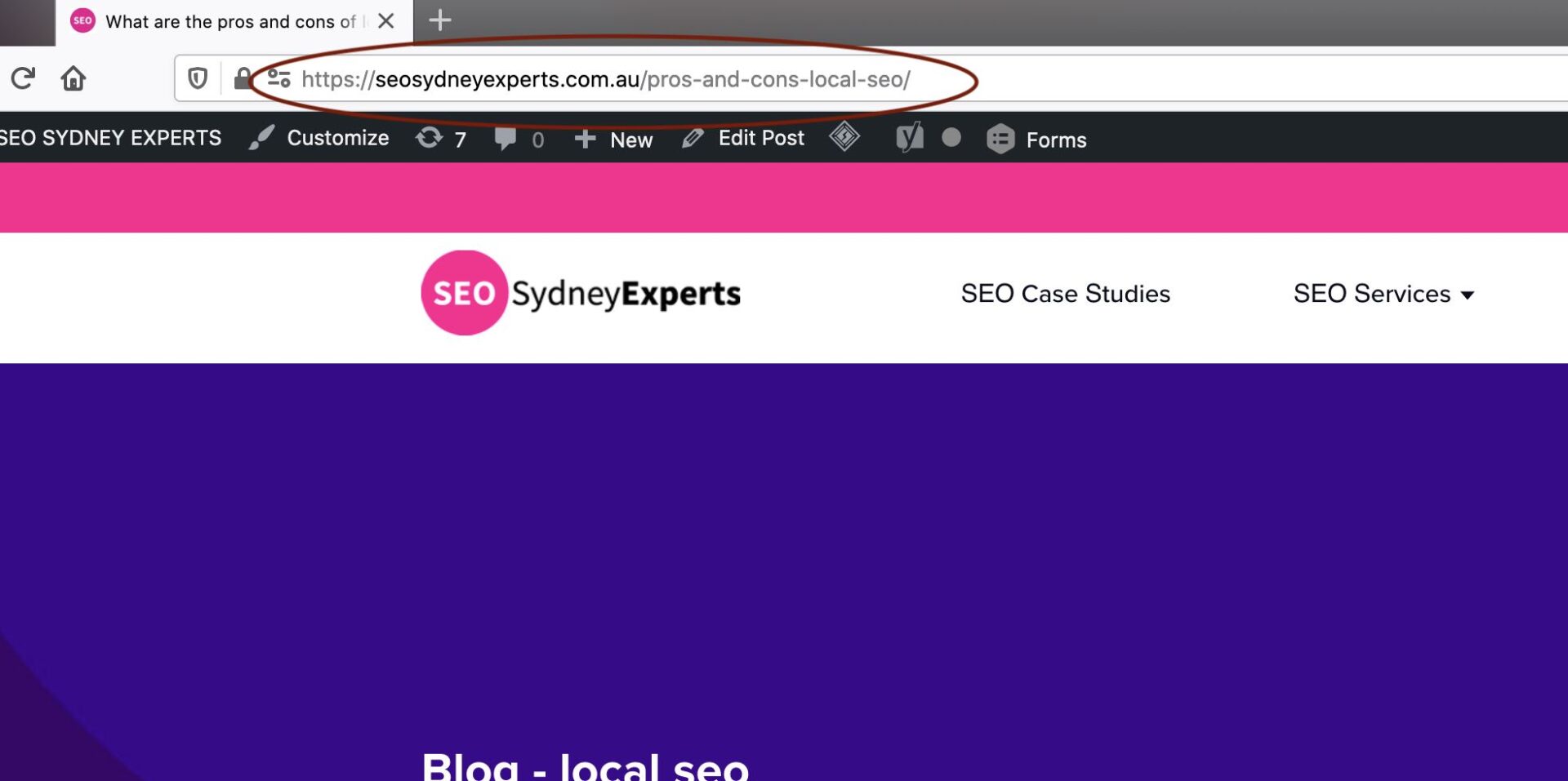 URL examples - seo sydney experts